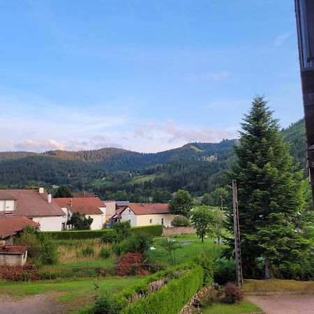 Appartement Chaleureux Au Coeur Des Hautes Vosges Ventron Kültér fotó