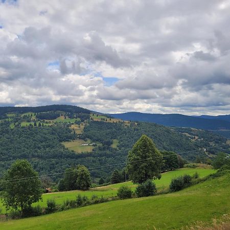 Appartement Chaleureux Au Coeur Des Hautes Vosges Ventron Kültér fotó