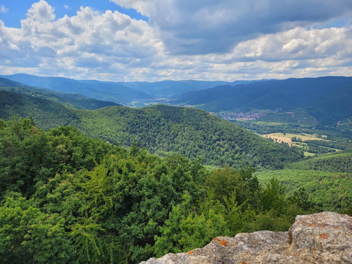 Appartement Chaleureux Au Coeur Des Hautes Vosges Ventron Kültér fotó