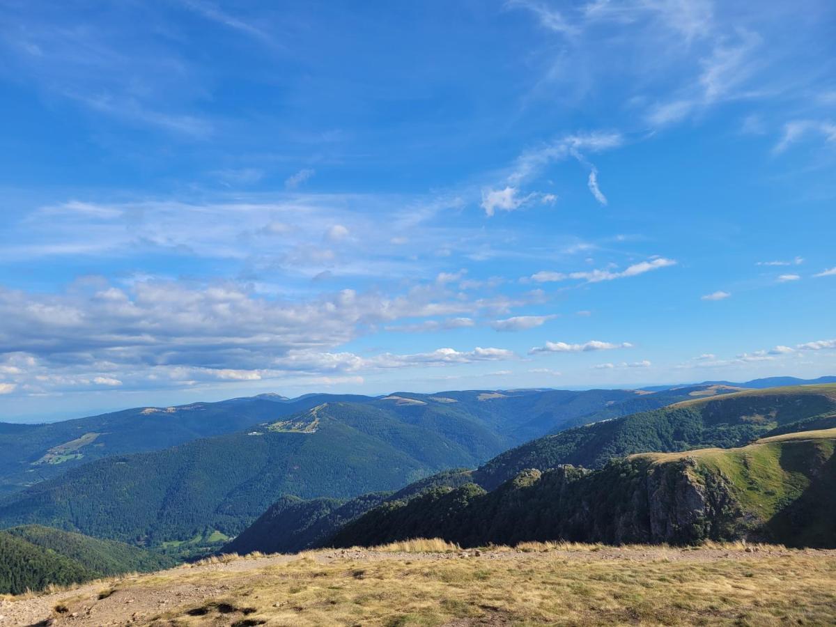 Appartement Chaleureux Au Coeur Des Hautes Vosges Ventron Kültér fotó