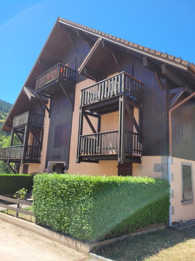Appartement Chaleureux Au Coeur Des Hautes Vosges Ventron Kültér fotó