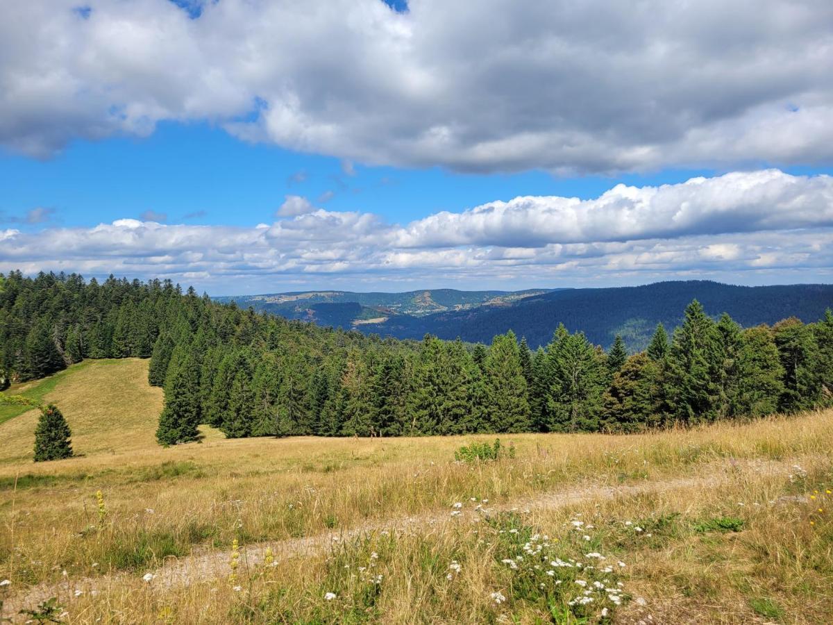 Appartement Chaleureux Au Coeur Des Hautes Vosges Ventron Kültér fotó