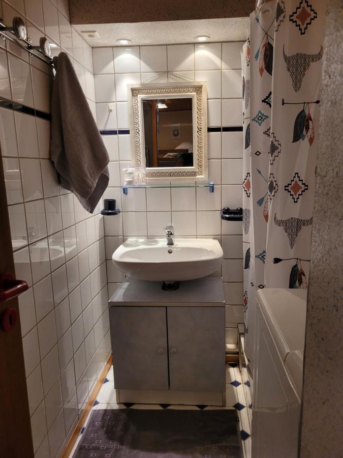 Appartement Chaleureux Au Coeur Des Hautes Vosges Ventron Kültér fotó