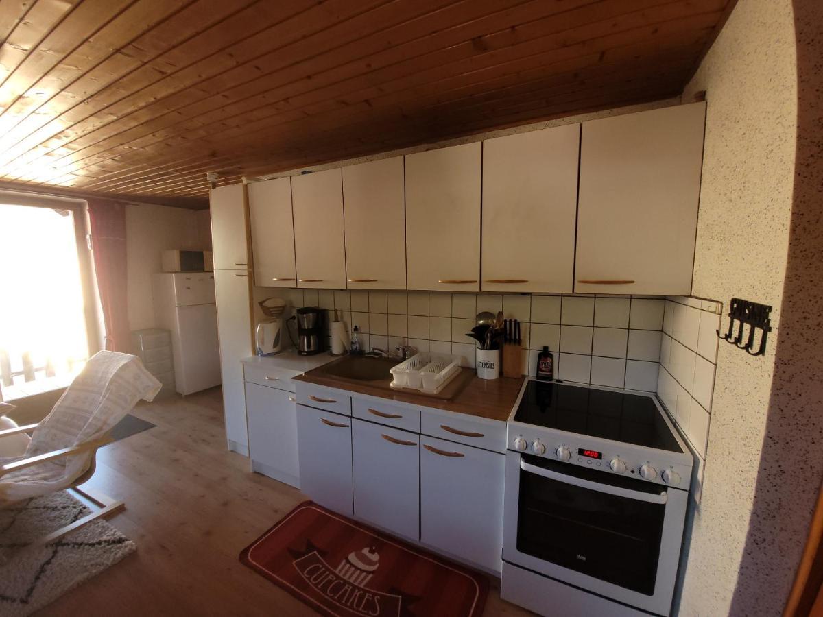 Appartement Chaleureux Au Coeur Des Hautes Vosges Ventron Kültér fotó