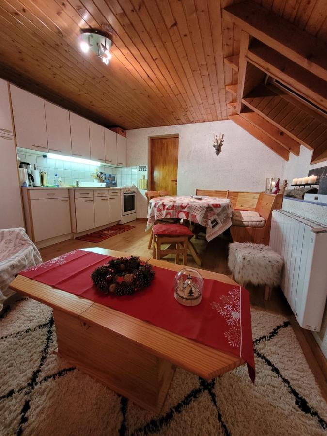 Appartement Chaleureux Au Coeur Des Hautes Vosges Ventron Kültér fotó