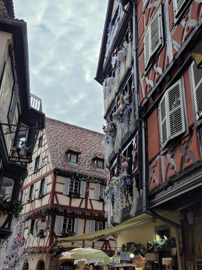 Appartement Chaleureux Au Coeur Des Hautes Vosges Ventron Kültér fotó