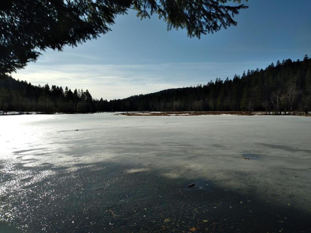 Appartement Chaleureux Au Coeur Des Hautes Vosges Ventron Kültér fotó