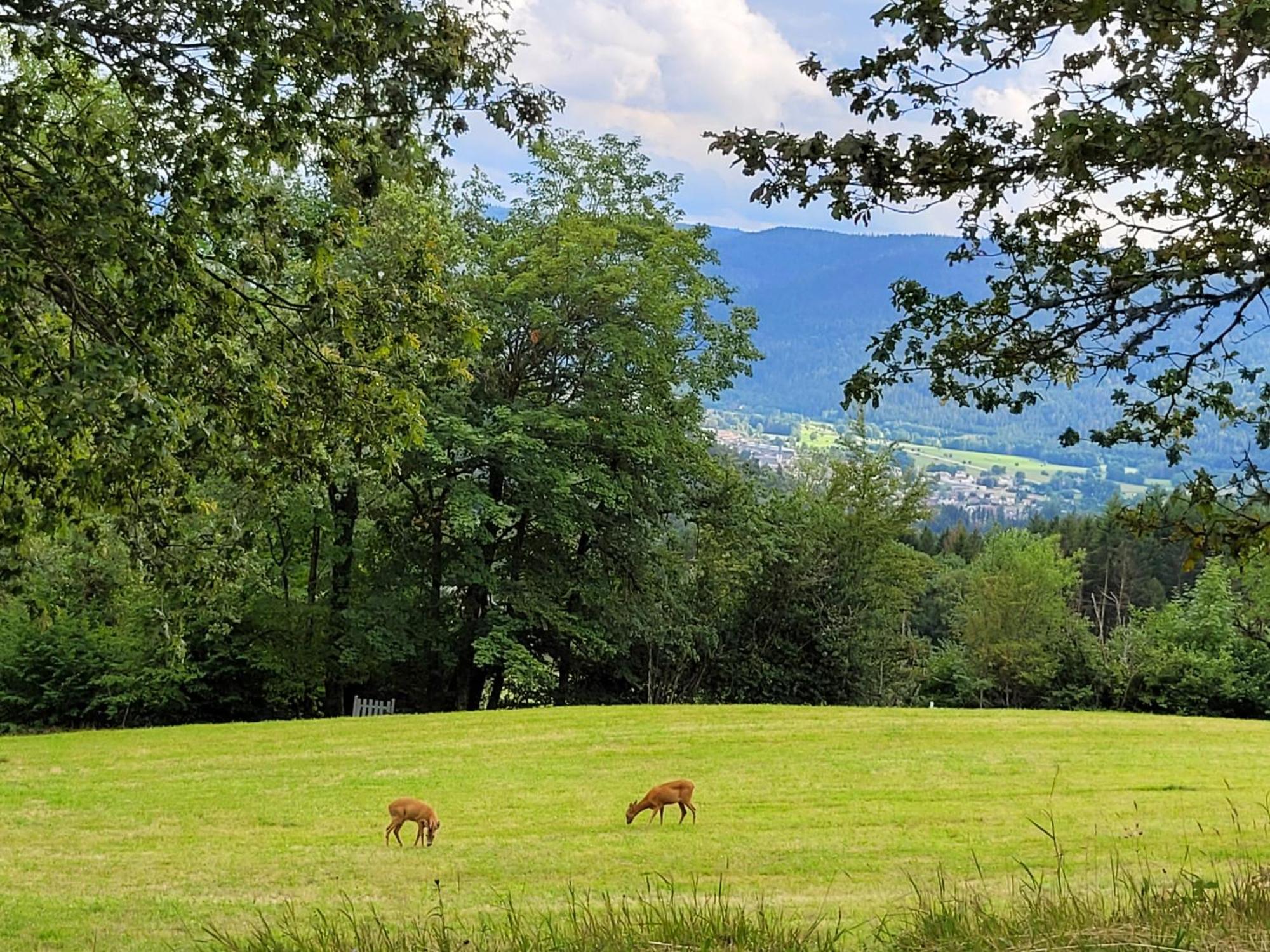 Appartement Chaleureux Au Coeur Des Hautes Vosges Ventron Kültér fotó
